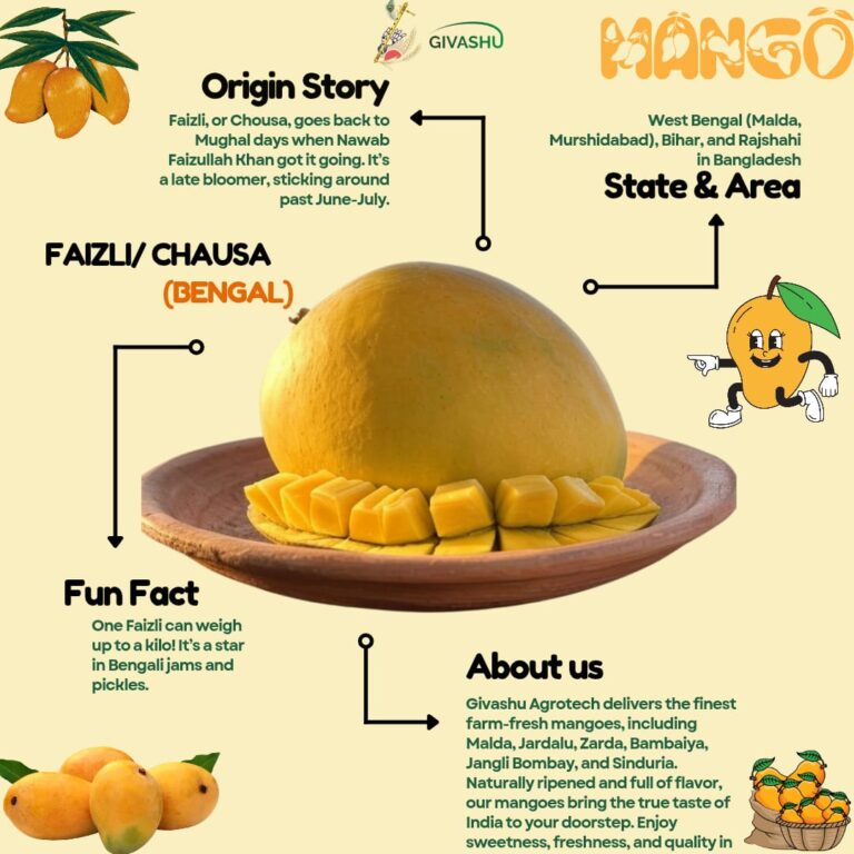 faizli 3