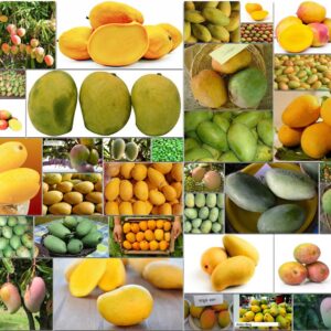 OTHER UNIQUE VARIETIES